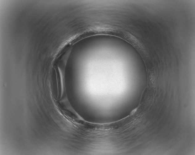 X0000054380732200508191912