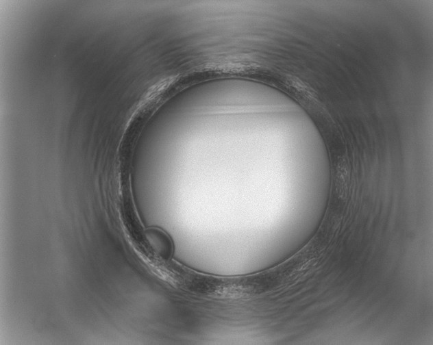 X0000054380734200508191912