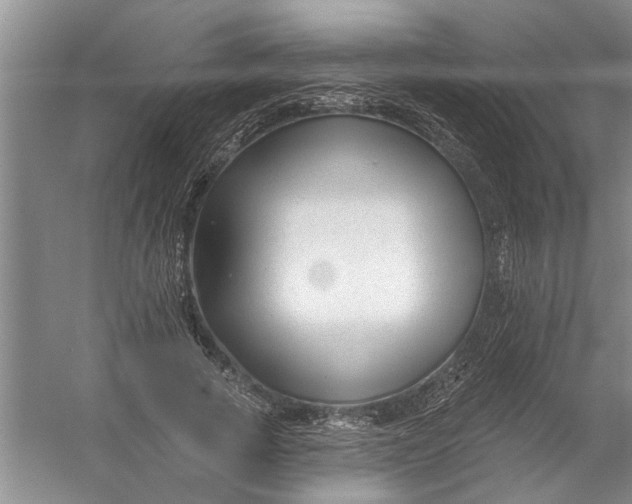 X0000054380737200508191912