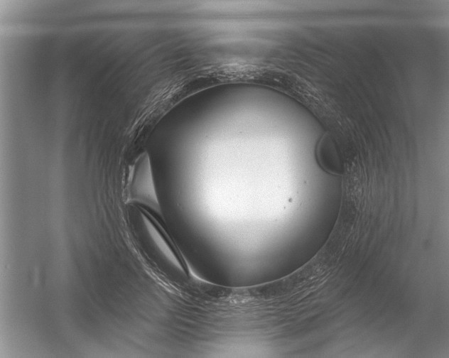 X0000054380742200508191912