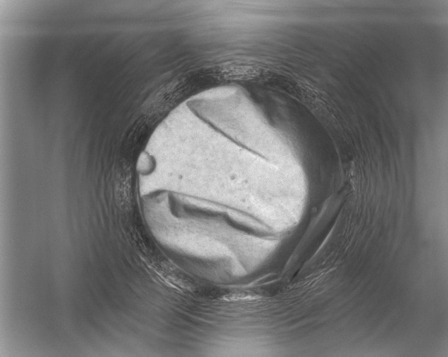 X0000054380745200508191912