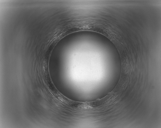 X0000054380747200508191912