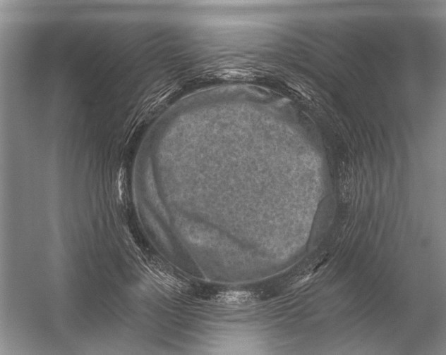 X0000054380748200508191912