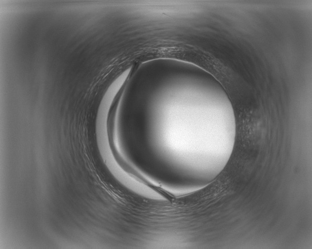 X0000054380750200508191912