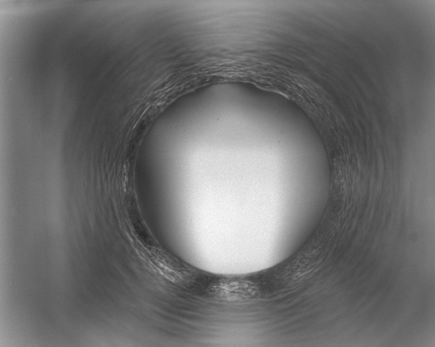 X0000054380752200508191912