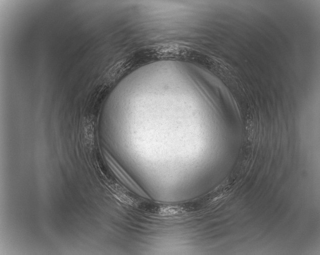 X0000054380753200508191912