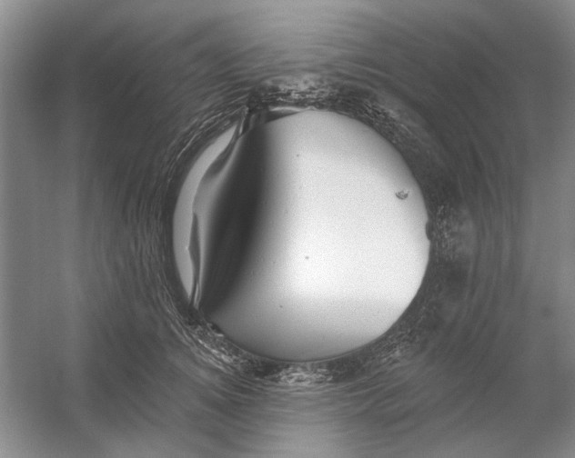 X0000054380756200508191912