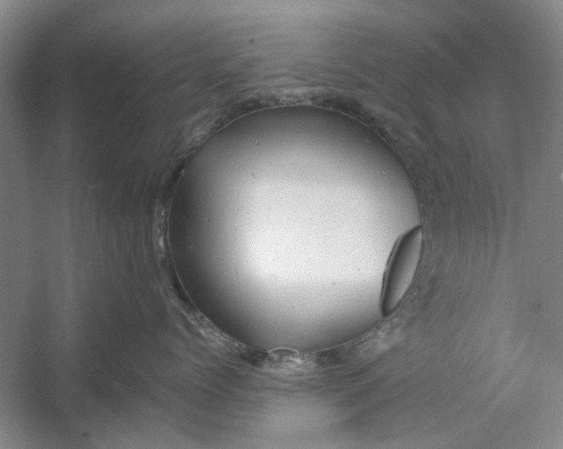 X0000054380768200508191912