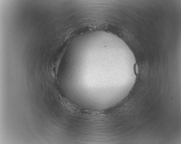 X0000054380770200508191912