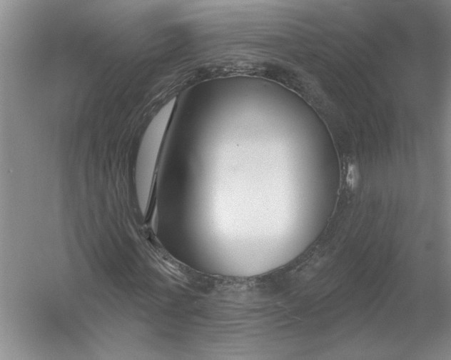 X0000054380771200508191912