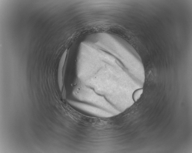 X0000054380772200508191912