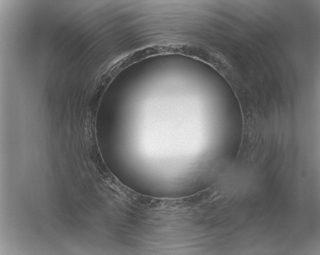 X0000054380773200508191911