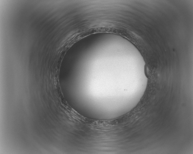 X0000054380774200508191911