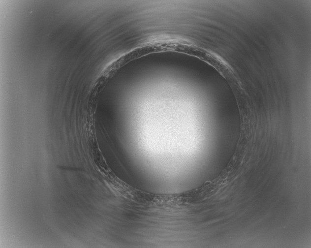 X0000054380775200508191911