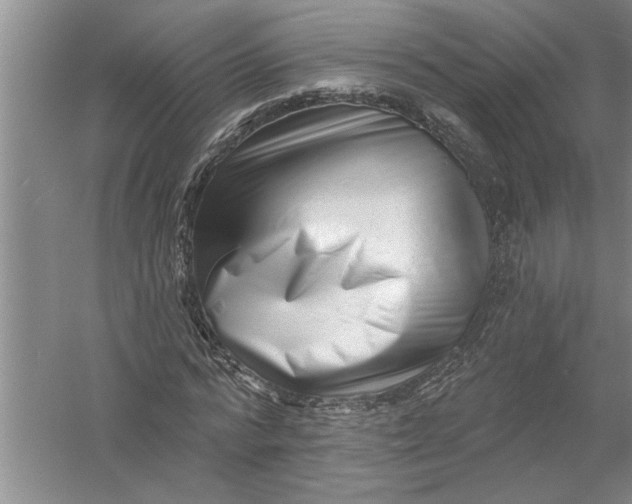 X0000054380776200508191911