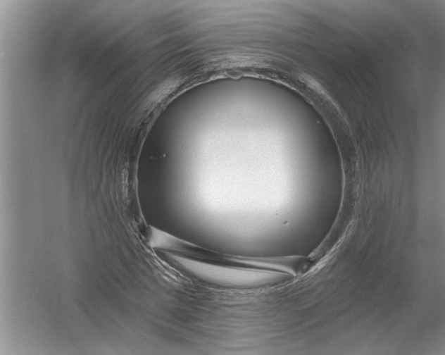 X0000054380777200508191911