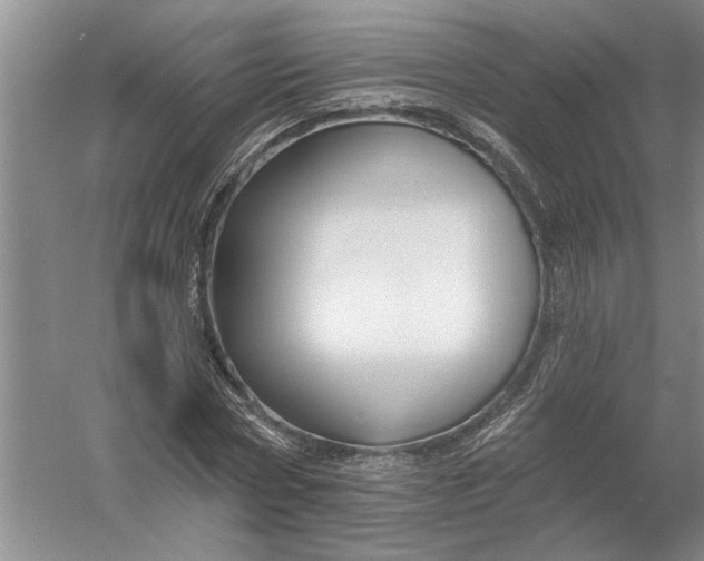 X0000054380778200508191911