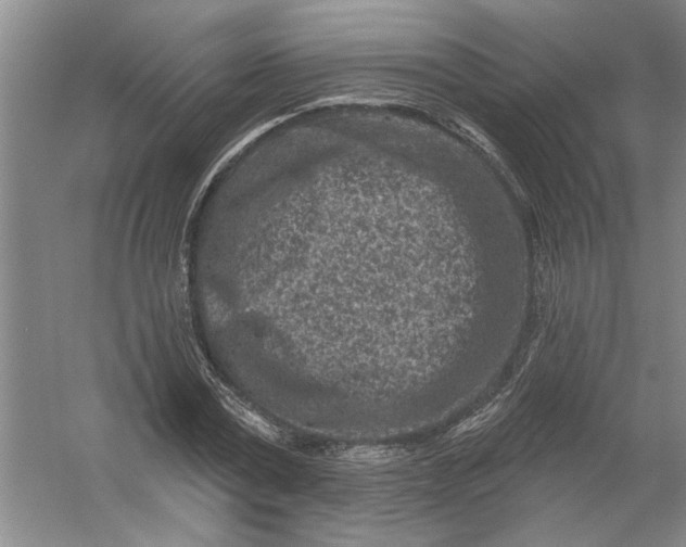 X0000054380779200508191911