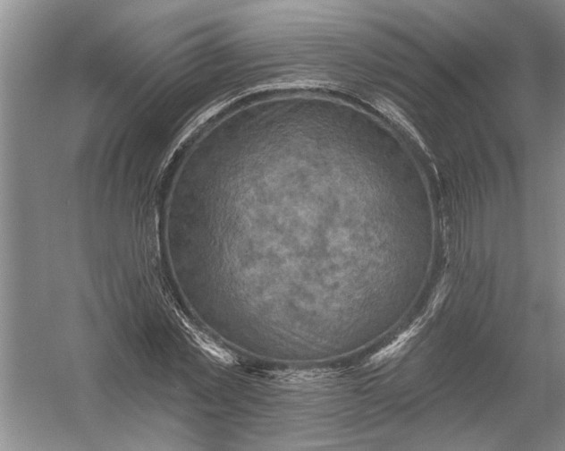 X0000054380781200508191911