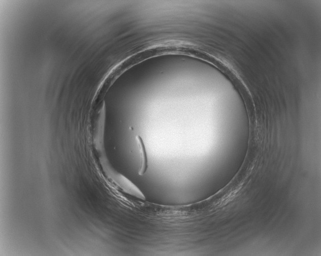 X0000054380783200508191911