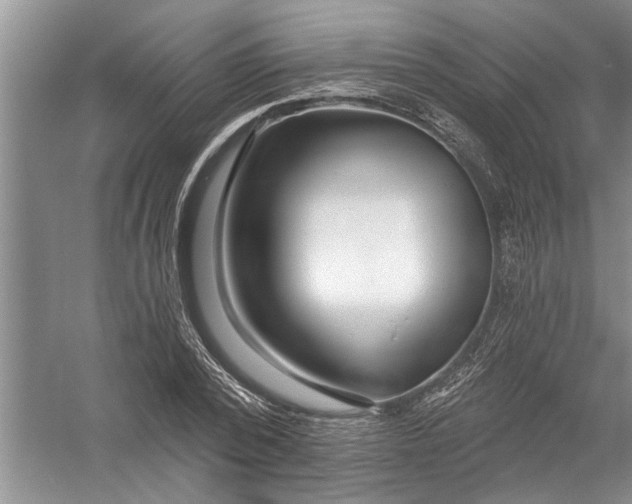 X0000054380784200508191911