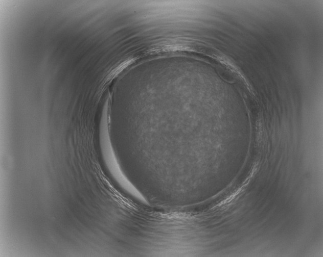 X0000054380785200508191911