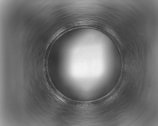 X0000054380786200508191911