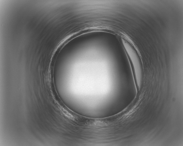 X0000054380787200508191911