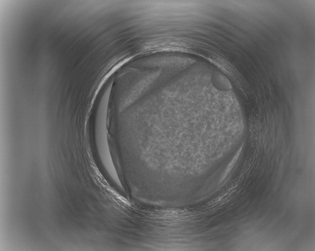 X0000054380790200508191911