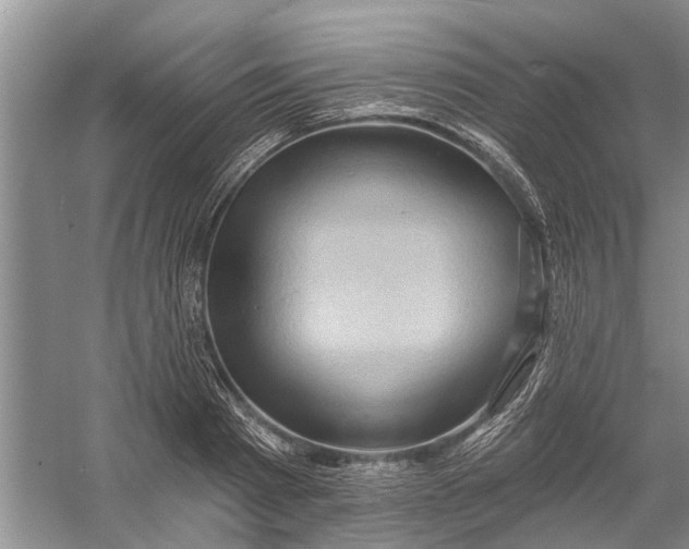 X0000054380793200508191911