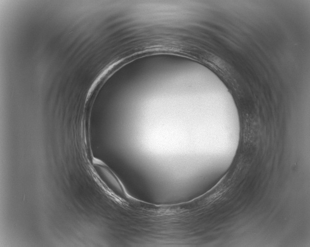 X0000054380796200508191911