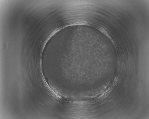 X0000054380797200508191911