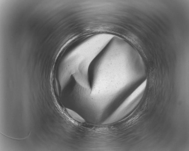 X0000054380798200508191911