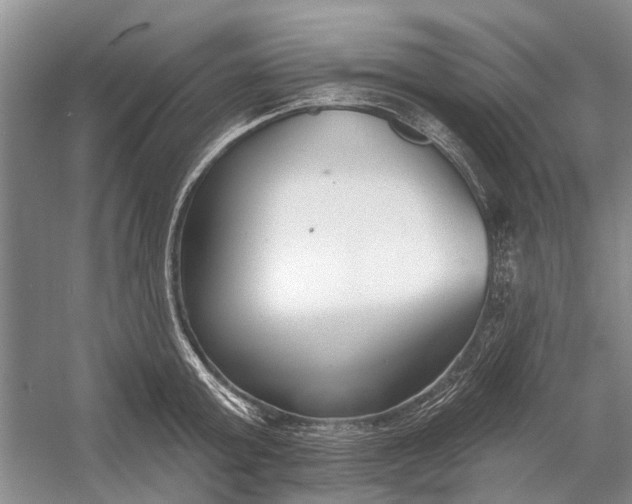 X0000054380803200508191911