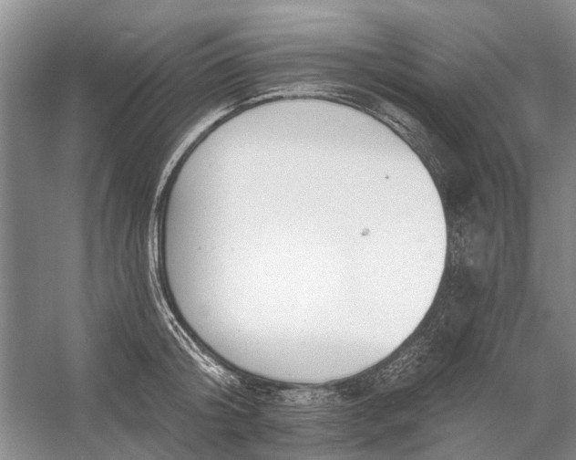 X0000054380804200508191911