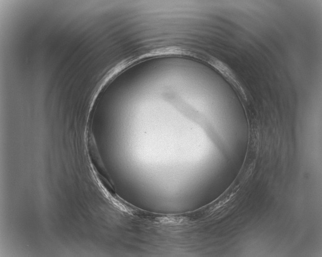 X0000054380805200508191911