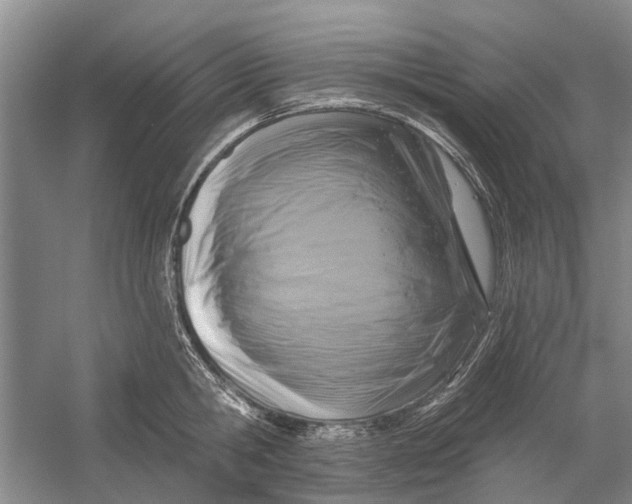 X0000054380806200508191911