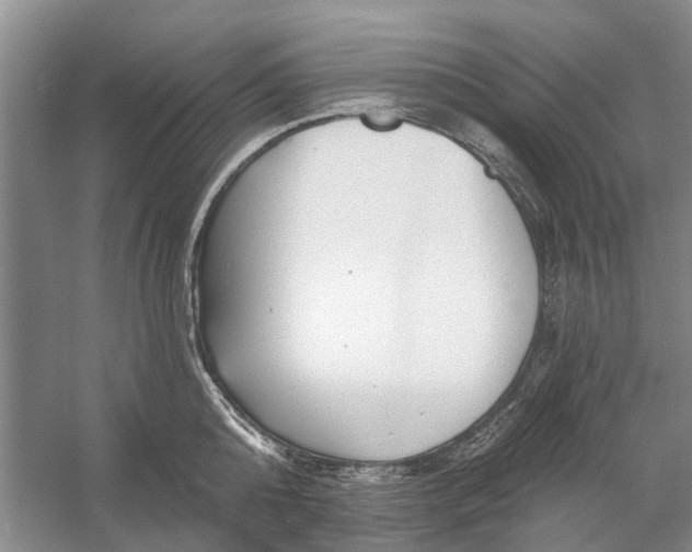 X0000054380808200508191911