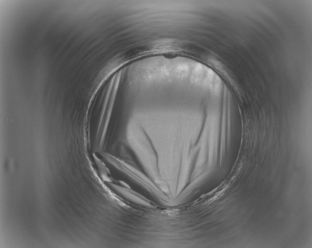 X0000054380810200508191911