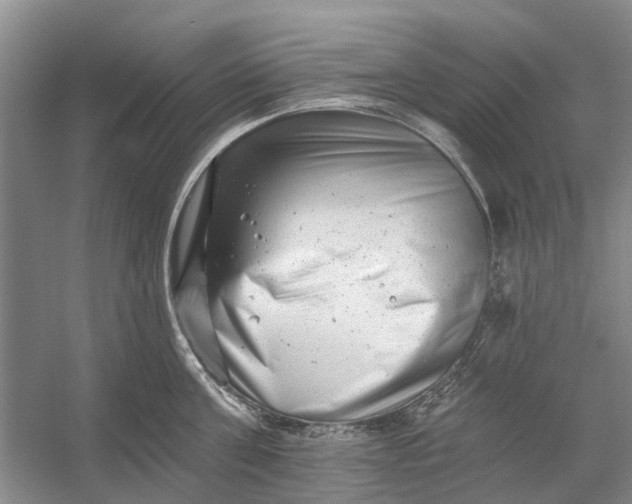 X0000054380811200508191911