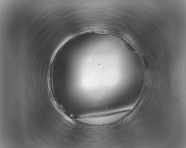 X0000054380812200508191911