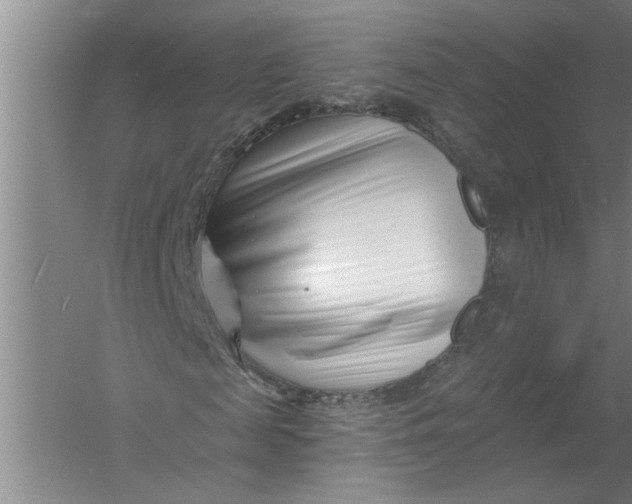 X0000054380817200508191910