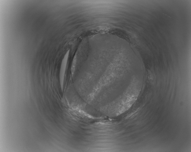 X0000054380818200508191910