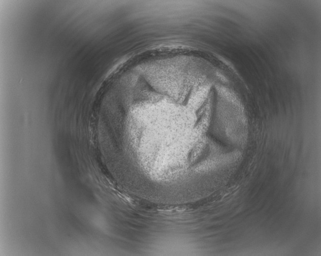 X0000054380823200508191910