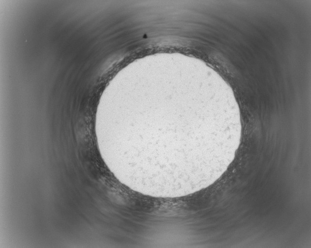 X0000054380824200508191910