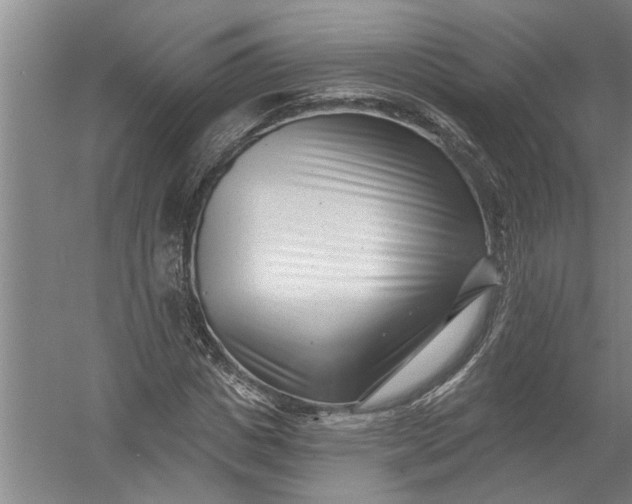 X0000054380825200508191910