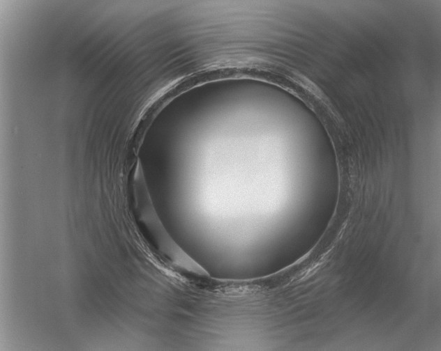 X0000054380826200508191910