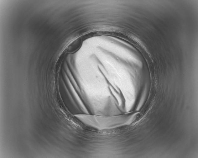 X0000054380829200508191910