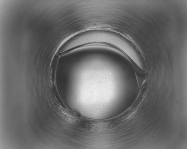 X0000054380830200508191910