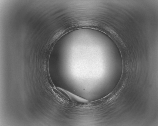 X0000054380833200508191910